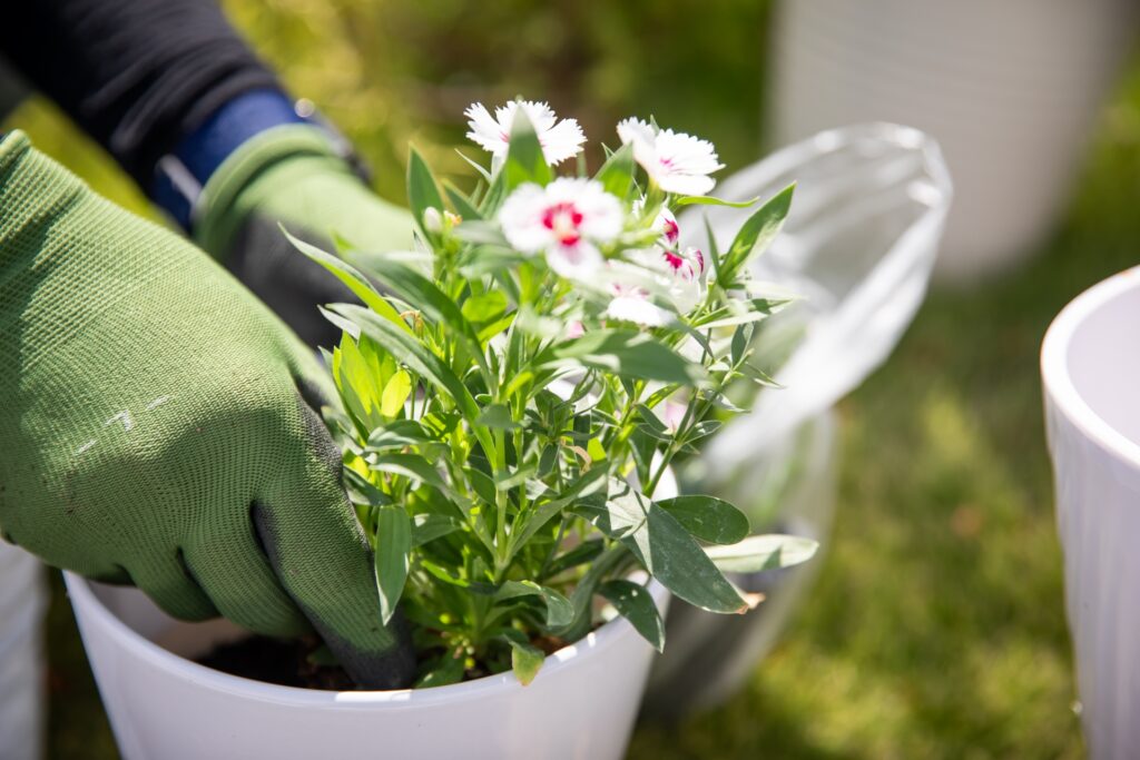 メンテナンスについて 01