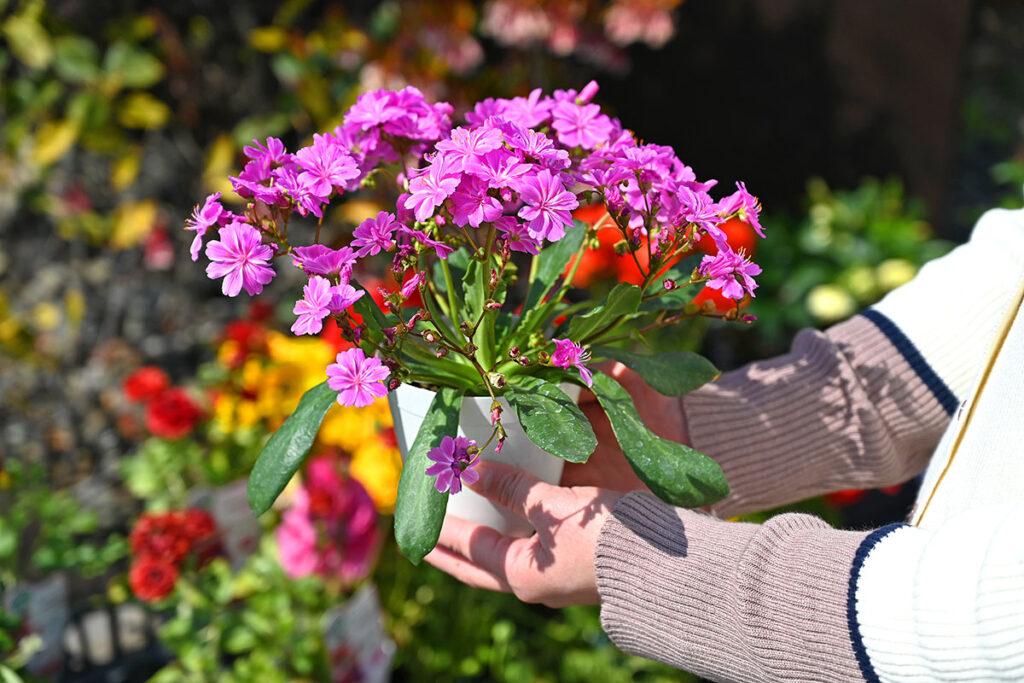 匠gardenのこだわり 02