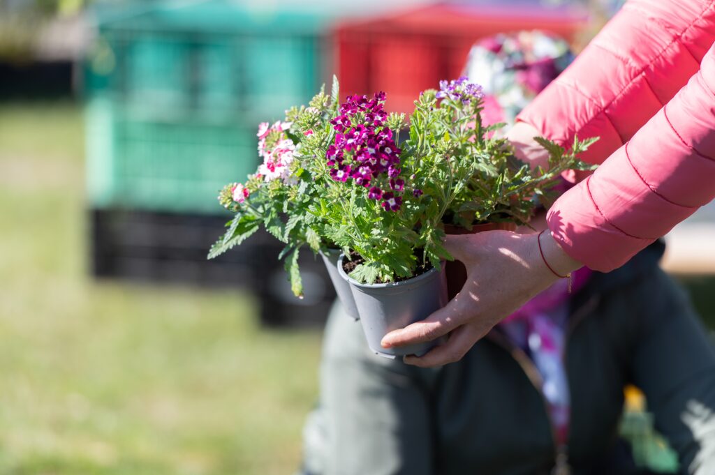 匠gardenのこだわり 02